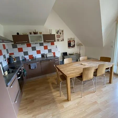Duplex Pied De Pistes Puy Du Rocher Διαμέρισμα Le Lioran